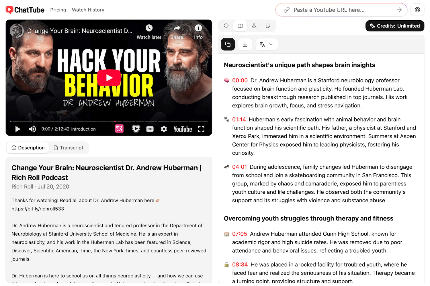 A screenshot of the ChatTube app that shows the process of summarizing a video.